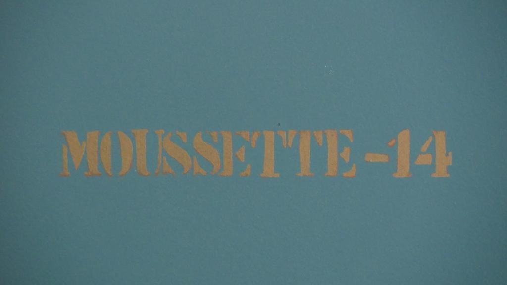 Apartment La Moussette *